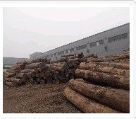 供應2012年【木材批發價格-木材銷售】無錫富萬建材 宜興木材_食品、飲料_世界工廠網中國產品信息庫